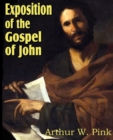 Image for Exposition of the Gospel of John