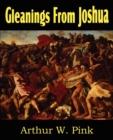 Image for Gleanings from Joshua