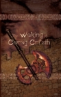 Image for The Waking of Carag Cri&#39;eth