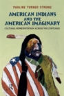Image for American Indians and the American Imaginary