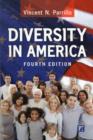 Image for Diversity in America