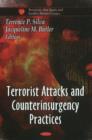 Image for Terrorist Attacks and Counterinsurgency Practices