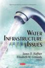 Image for Water infrastructure issues