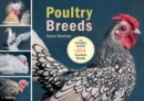 Image for Poultry breeds: chickens, ducks, geese, turkeys : the pocket guide to 104 essential breeds
