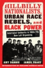 Image for Hillbilly nationalists, urban race rebels, and Black power  : the rise of community organizing in America