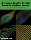 Image for A Neuron-Specific Protein found in Skeletal Muscle