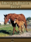 Image for American Quarter Horse