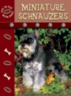 Image for Miniature schnauzers