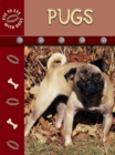 Image for Pug