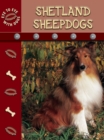 Image for Shetland sheepdogs
