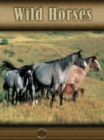Image for Wild Horses: Eye to Eye with Horses