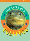 Image for Life Cycle of A Bullfrog
