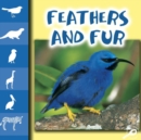 Image for Feathers and Fur