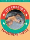 Image for Loggerhead Turtle