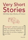 Image for Very Short Stories : 300 Bite-Size Works of Fiction