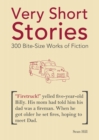 Image for Very Short Stories: 300 Bite-Size Works of Fiction