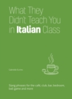 Image for What They Didn&#39;t Teach You in Italian Class: Slang Phrases for the Cafe, Club, Bar, Bedroom, Ball Game and More