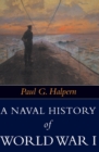 Image for A naval history of World War I