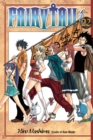 Image for Fairy tail 22