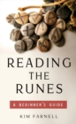 Image for Reading the runes: a beginner&#39;s guide