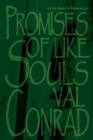 Image for Promises of Like Souls