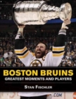 Image for Boston Bruins