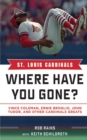 Image for The St. Louis Cardinals: the 100th anniversary history