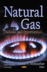Image for Natural gas  : outlooks and opportunities