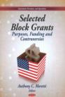 Image for Selected block grants  : purposes, funding and controversies