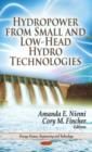 Image for Hydropower from small and low-head hydro technologies