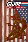 Image for Cobra civil war