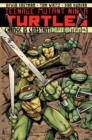 Image for Teenage Mutant Ninja Turtles Volume 1: Change is Constant Deluxe Edition