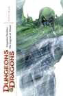 Image for Dungeons &amp; Dragons: Forgotten Realms - The Legend of Drizzt Omnibus Volume 2