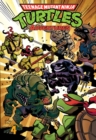Image for Teenage Mutant Ninja Turtles Adventures Volume 4
