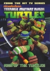 Image for Teenage Mutant Ninja Turtles Animated Volume 1 Rise Of The Turtles