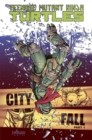 Image for Teenage Mutant Ninja Turtles Volume 6: City Fall Part 1