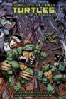 Image for Teenage Mutant Ninja Turtles Annual Deluxe Edition