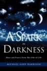 Image for A Spark in Darkness