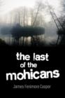 Image for The Last of the Mohicans