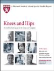Image for Knees and Hips : A Troubleshooting Guide to Knee and Hip Pain