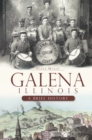 Image for Galena, Illinois: a brief history