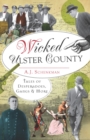 Image for Wicked Ulster County: tales of desperadoes, gangs &amp; more