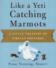 Image for Like a yeti catching marmots  : a little treasury of Tibetan proverbs