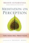 Image for Meditation on perception  : ten healing practices to cultivate mindfulness