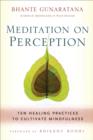 Image for Meditation on perception: ten healing practices to cultivate mindfulness