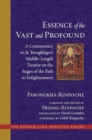 Image for The Essence of the Vast and Profound : A Commentary on Je Tsongkhapa&#39;s Middle-Length Treatise on the Stages of the Path to Enlightenment