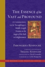 Image for The essence of the vast and profound: a commentary on Je Tsongkhapa&#39;s middle-length treatise on the stages of the path to enlightenment