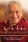 Image for Bodhichitta : Practice for a Meaningful Life