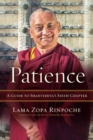 Image for Patience  : a guide to Shantideva&#39;s sixth chapter