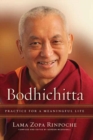 Image for Bodhichitta  : practice for a meaningful life